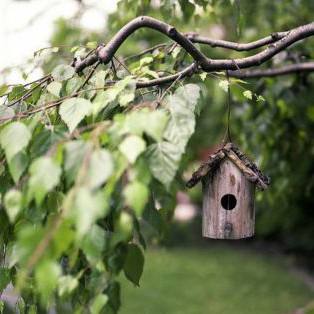 Vogelhäuschen