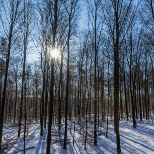 winter-3998056_1920
