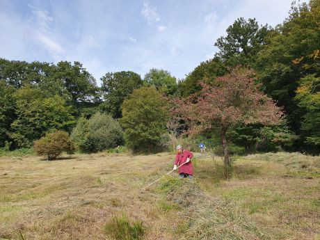 Wiesenpflege auf der Salzwiese Salzwiese